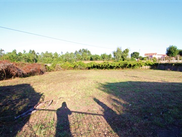 Lote / Esposende, Forjães