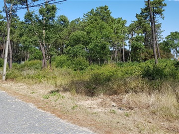 Terreno Rústico / Esposende, Belinho